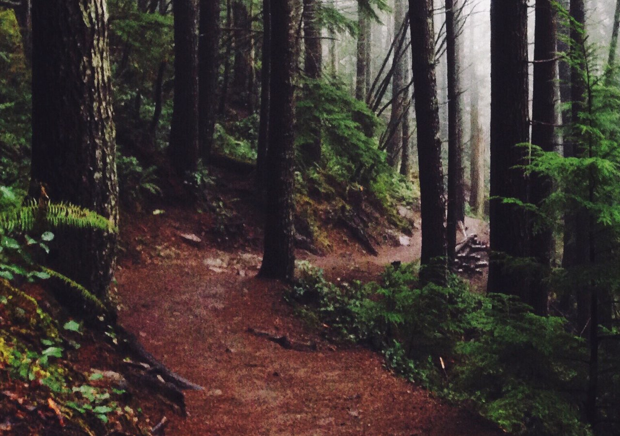 merrell-woods-image