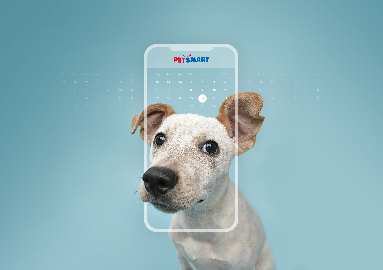 Petsmart sales phone number
