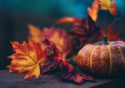 Thanksgiving Reflections: What We’re Thankful For in 2020