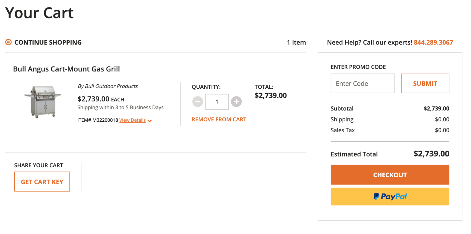 Last-Minute Review of the Grill Before Purchasing