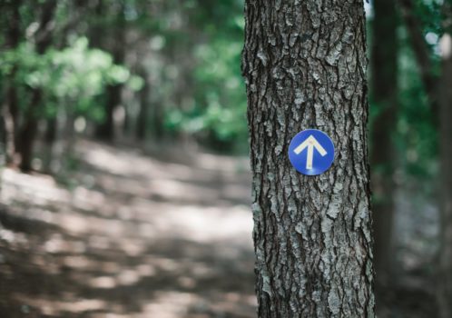 Salesforce Commerce Cloud Accessibility Enhancements