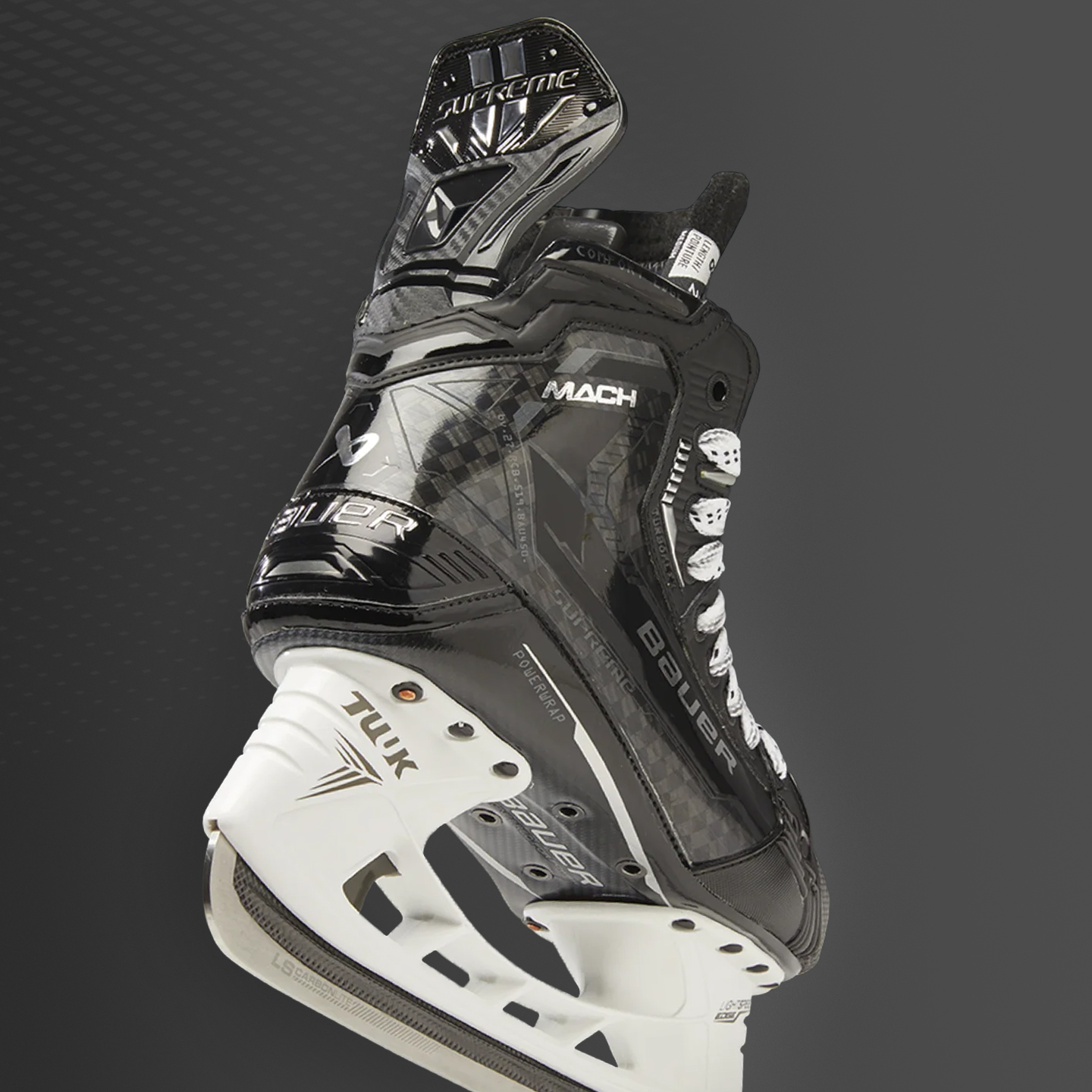 Bauer SEO