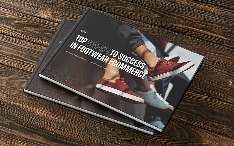 Footwear Industry Guide